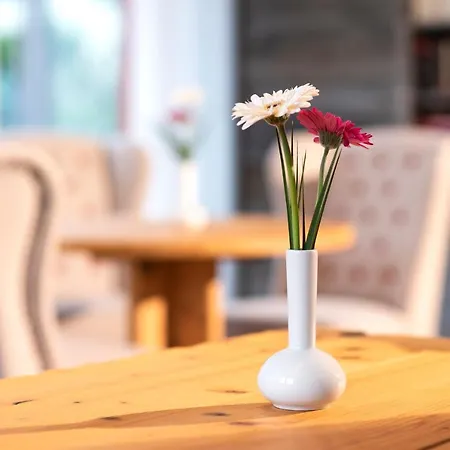 Allgaeu Art Hotel